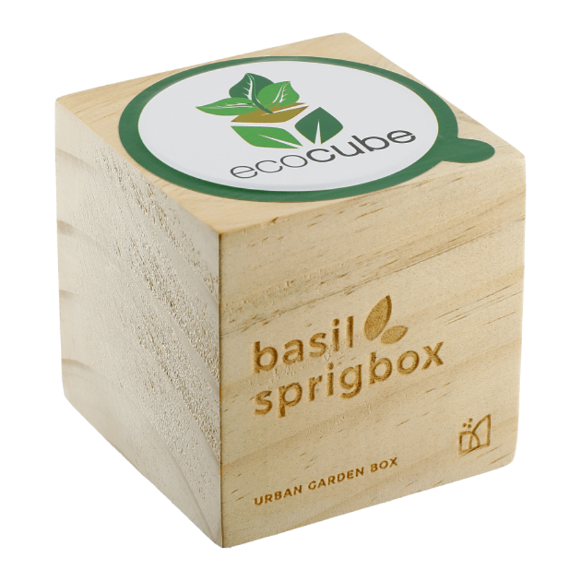 Sprigbox Basil Grow Kit