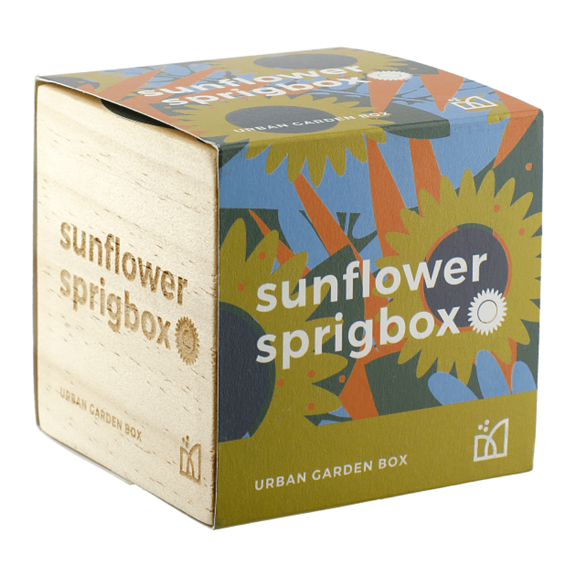 Sprigbox Sunflower Grow Kit