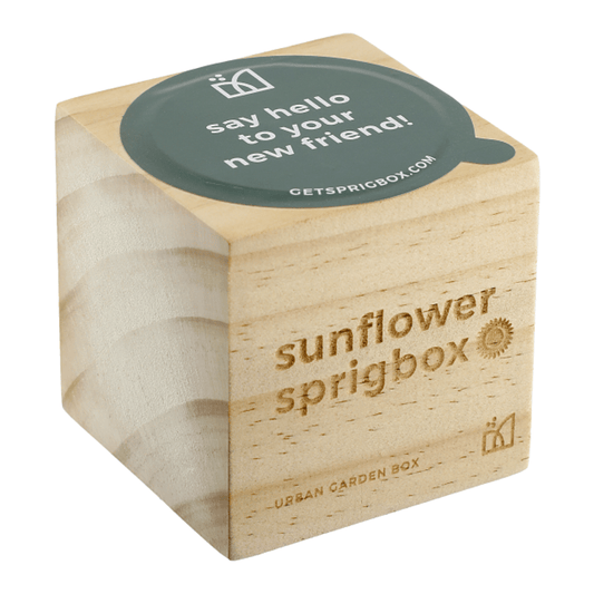 Sprigbox Sunflower Grow Kit